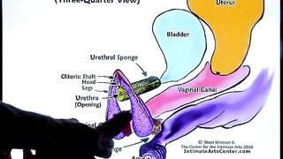 Squirting Tutorial 2 by Mr PussyLicking, the ultimate guide!
