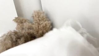 Guy sniffed panties and fucked curva in a wet pussy, delivering real orgasm