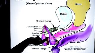 How to squirt? The ultimate guide by Mr. PussyLicking!