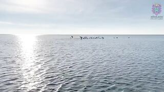 Amateur Latina with Huge Ass gets fucked on the beach