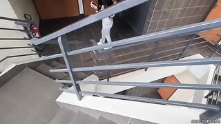 Two fake agents fucked Chilean model in the elevator and toilet