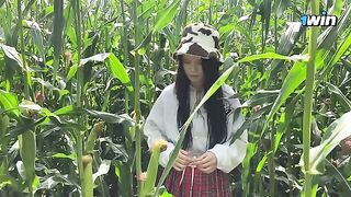 A security guard caught a thief in a cornfield and fined her on the spot