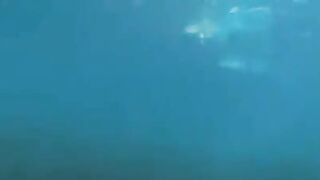 Aqualangists are having fun at the bottom of the sea in this hot video