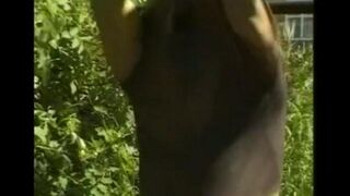 A guy caresses his big cock in the hayloft, imitating a blowjob