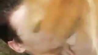 Blonde slut gets fucked outdoors in the park