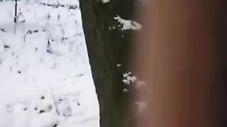 The guy tried to freeze his dick and the girl’s pussy with him