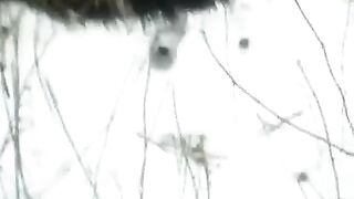 Babe fucked by a stranger in the snow right in the street