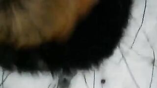 Babe fucked by a stranger in the snow right in the street