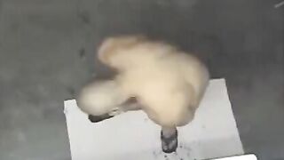 A naked man was seen by a hidden camera in the shower