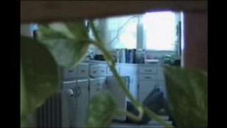 A married couple has sex while walking naked in their house