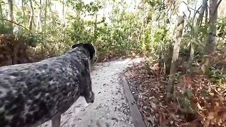 A man had sex with a girl in the jungle, she came for him